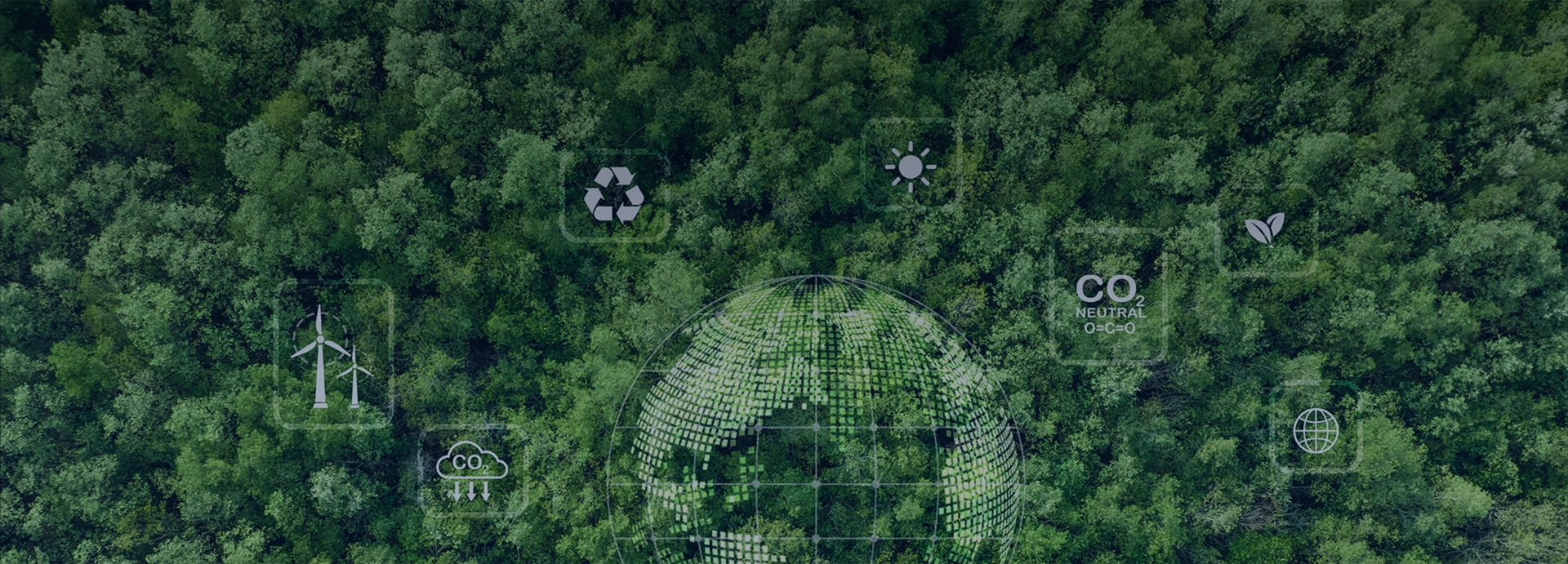 Aerial forest canopy with environmental symbols